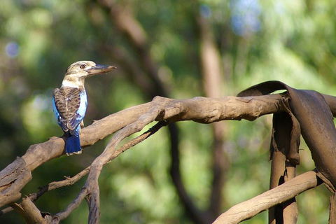 Ord River Experience With Riverside Lunch - Attractions 1