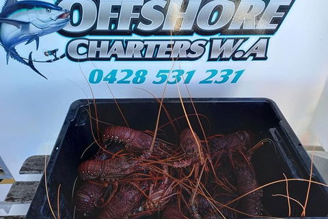 Lobster Fishing Tour At Geraldton - Attractions 0