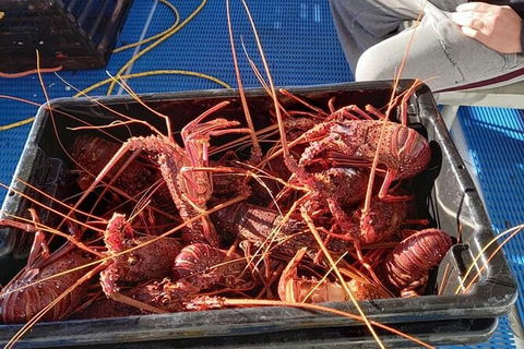 Lobster Fishing Tour At Geraldton - Attractions 6