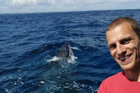 Whale Watching Boat Tour In Geraldton - Attractions 2