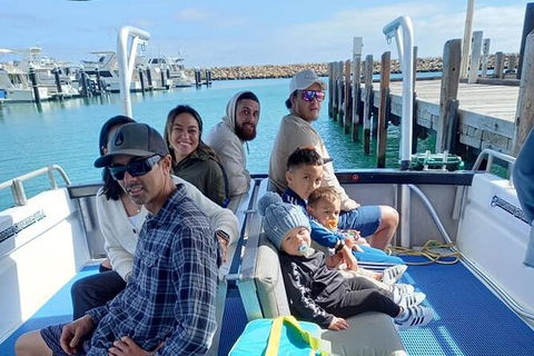 Whale Watching Boat Tour In Geraldton - Attractions 1