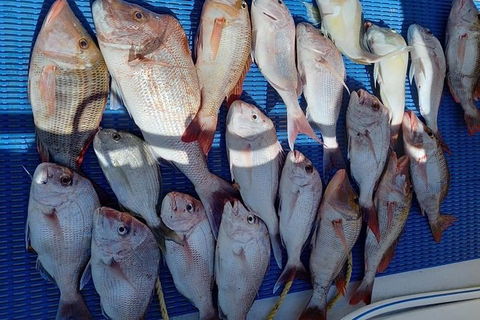 Geraldton Fishing Charter - Attractions 7