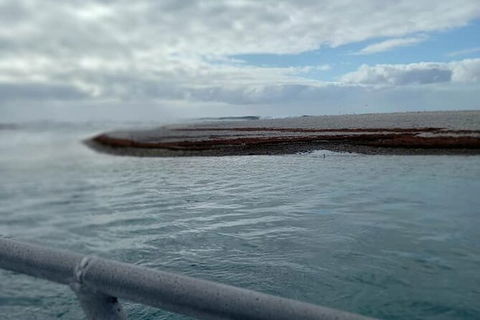 Abrolhos Islands Fishing Charter - Attractions 6