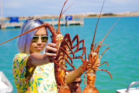 Rock Lobster Pot Pull Tour In Kalbarri - Attractions 0