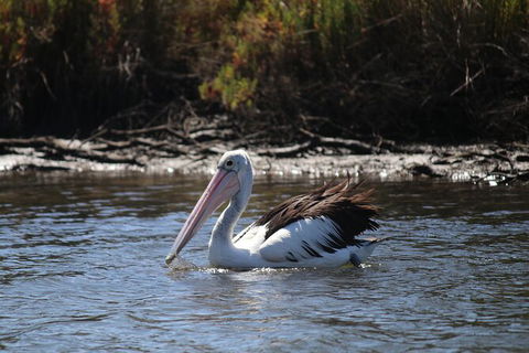 Private Guided River Kayak Tour - Attractions Las Vegas 2
