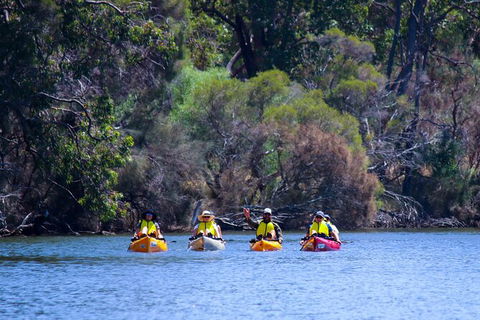 Private Guided River Kayak Tour - Attractions Las Vegas 6