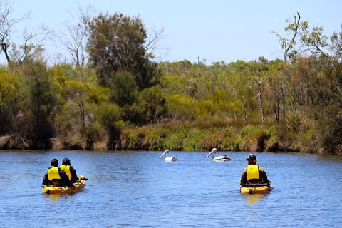Private Guided River Kayak Tour - Attractions Las Vegas 4