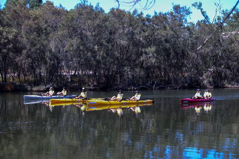 Private Guided River Kayak Tour - Attractions Las Vegas 5