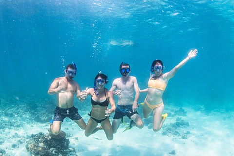Full-Day Whale Sharks Swimming Experience On Ningaloo Reef - Attractions 5
