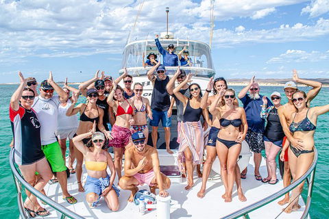 Full-Day Whale Sharks Swimming Experience On Ningaloo Reef - Attractions 1