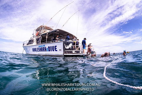Full-Day Whale Sharks Swimming Experience On Ningaloo Reef - Attractions 13