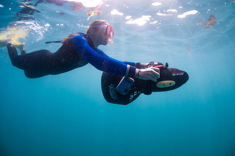 Full-Day Whale Sharks Swimming Experience On Ningaloo Reef - Attractions 4