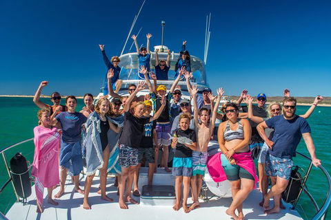 Full-Day Whale Sharks Swimming Experience On Ningaloo Reef - Attractions 15