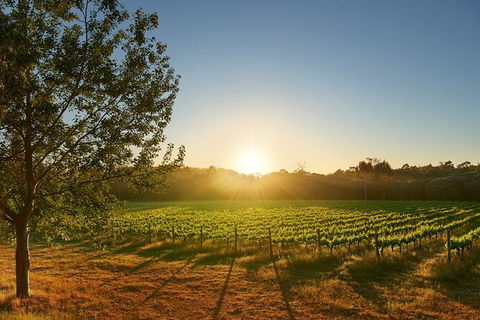 Private Barrel Hall Wine Tasting In The Margaret River Region - Attractions 3