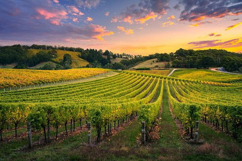 Swan Valley Sunset Wine Tour - Premium Small Group Tour - Attractions 0