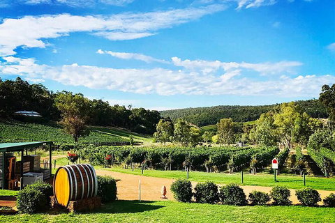Bickley Valley Wine & Cider Tour - Premium Small Group Tour - Attractions 0