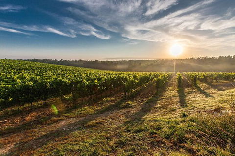 Perth To Margaret River Wine Tour - 2 Day Premium Boutique Wine Tour Experience - Attractions 0