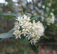 Booderee National Park - Attractions
