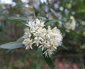 Booderee National Park - Attractions 0