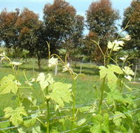 Barwon Ridge Wines - Attractions