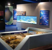 Marine and Freshwater Discovery Centre - Attractions