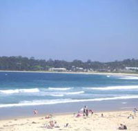 Mollymook Surf Beach - Attractions
