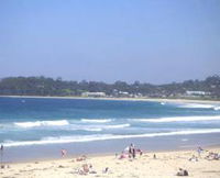 Book Mollymook Accommodation Vacations Attractions Attractions