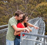 Valley of the Giants Tree Top Walk - Attractions