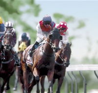 Colac Turf Club - Attractions