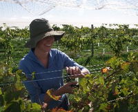 Book Goulburn Accommodation Vacations Attractions Attractions