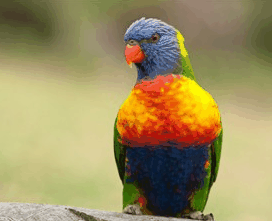 Booderee National Park - Attractions 1