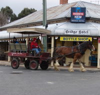 Bathurst Farm Experience - Attractions