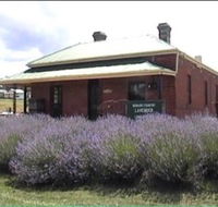 Lavender House in Railway Park - Attractions