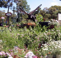 Zanthorrea Nursery - Attractions