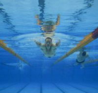 Kensington Community Recreation Centre - Attractions