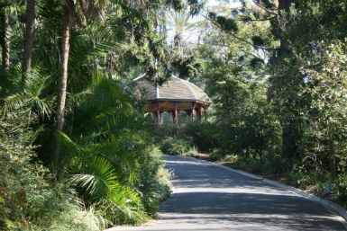 Royal Botanic Gardens Victoria - Attractions 0