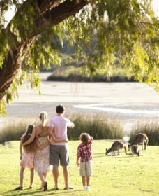 Yanchep WA Attractions