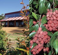 Bushfood Factory and Cafe - Attractions