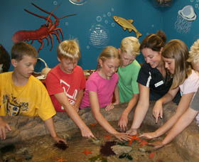 Naturaliste Marine Discovery Centre - Attractions 0