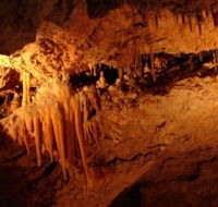 Yanchep National Park - Crystal Cave - Attractions