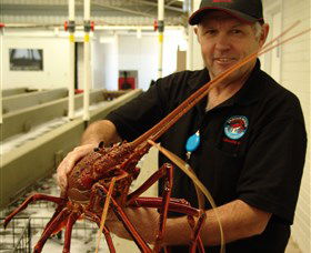 Cervantes WA Attractions