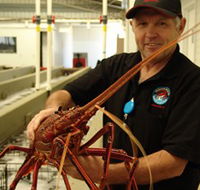 Lobster Shack - Attractions
