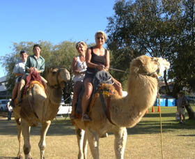 Calamunnda Camel Farm - Attractions 0