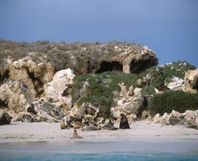 Jurien Bay Marine Park - Attractions 0