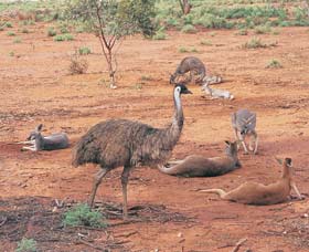 Hammond Park - Attractions Las Vegas 0