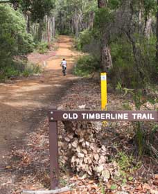 Jarrahwood WA Attractions
