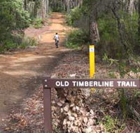 Old Timberline and Sidings Rail Trails - Attractions