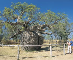 Derby WA Attractions