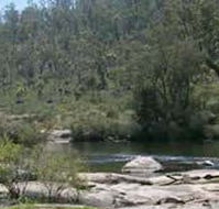Wellington Discovery Forest - Attractions