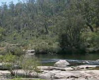 Wellington Discovery Forest